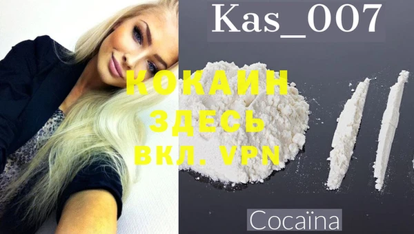 индика Сафоново