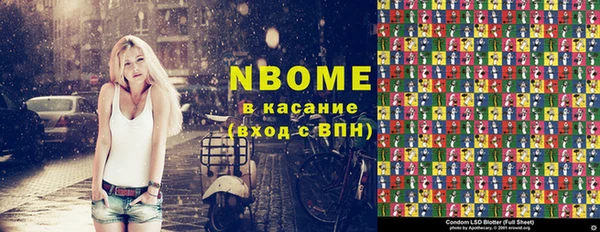 индика Сафоново
