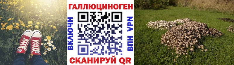 Псилоцибиновые грибы Magic Shrooms  где купить наркоту  Сурск 